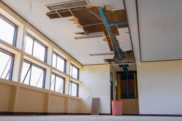 Best Local water damage restoration  in Mesa Del Caballo, AZ