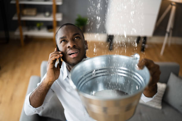 Best Local water damage restoration  in Mesa Del Caballo, AZ