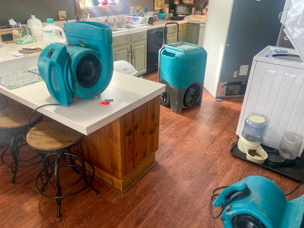 Best Sewage cleanup and water damage restoration  in Mesa Del Caballo, AZ
