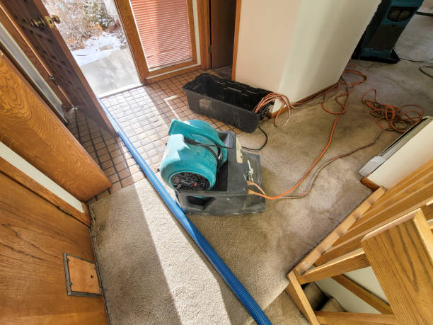 Best Fire Damage Restoration  in Mesa Del Caballo, AZ