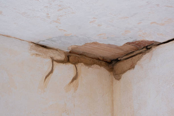 Best Basement water damage restoration  in Mesa Del Caballo, AZ