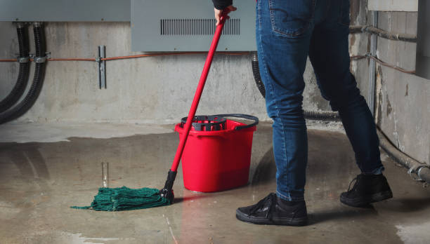 Best Mold removal after water damage  in Mesa Del Caballo, AZ