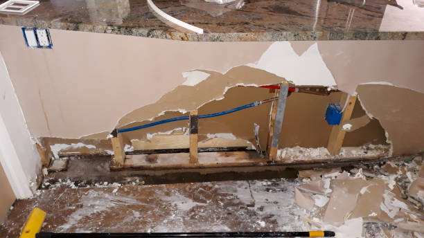 Best Fire Damage Restoration  in Mesa Del Caballo, AZ