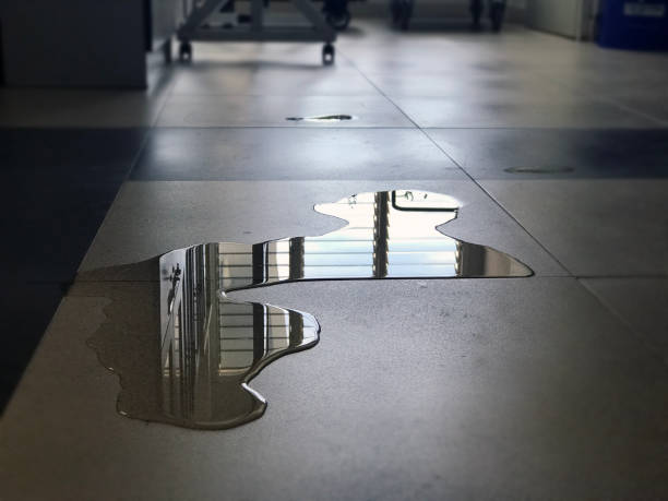 Best Water damage mitigation services  in Mesa Del Caballo, AZ