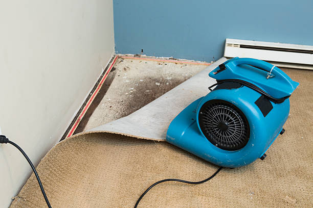 Best Commercial water damage restoration  in Mesa Del Caballo, AZ
